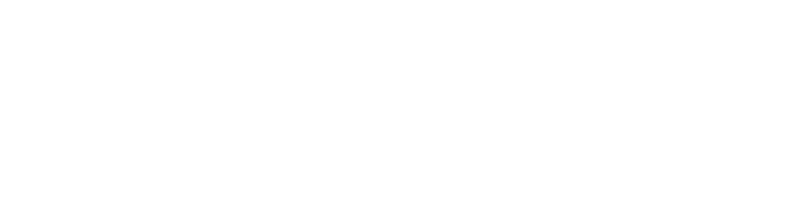 PNG White logo cropped